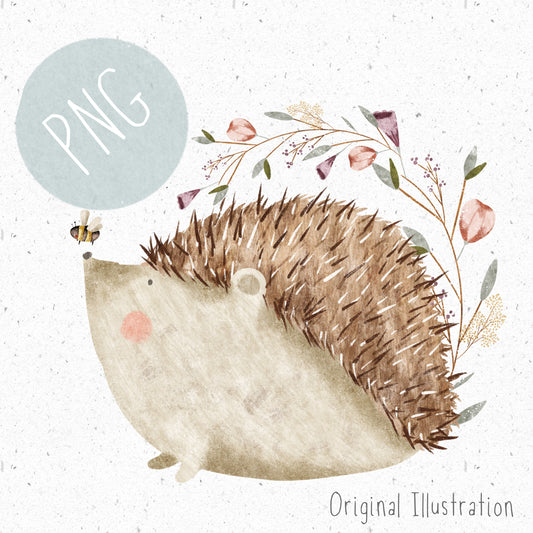 Little Hedgehog PNG