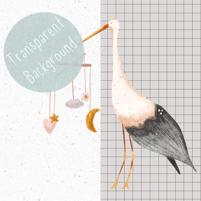 Baby Girl Stork PNG Set