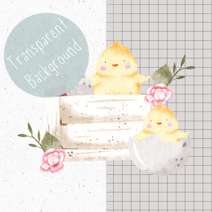 Easter Chicks PNG