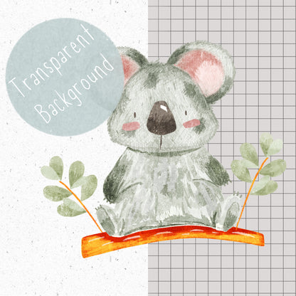 Koala PNG Set