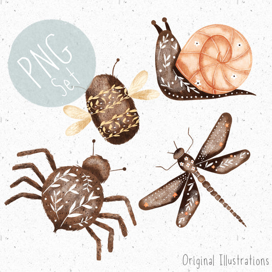 Insect PNG Set