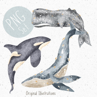 Whale Friends PNG Set