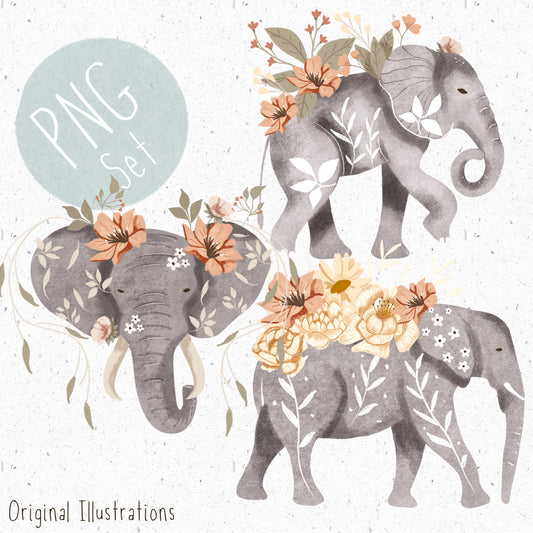 Floral elephant Trio PNG Set