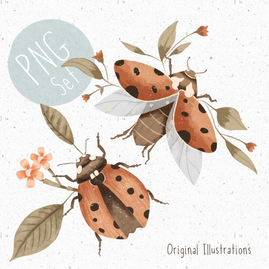 Ladybird PNG Set