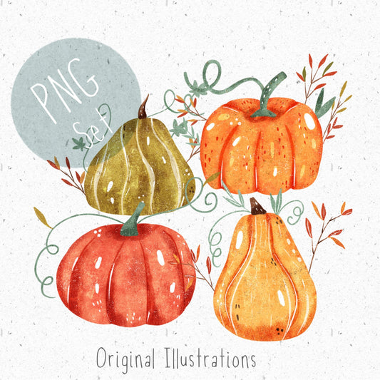Pumpkin PNG Set