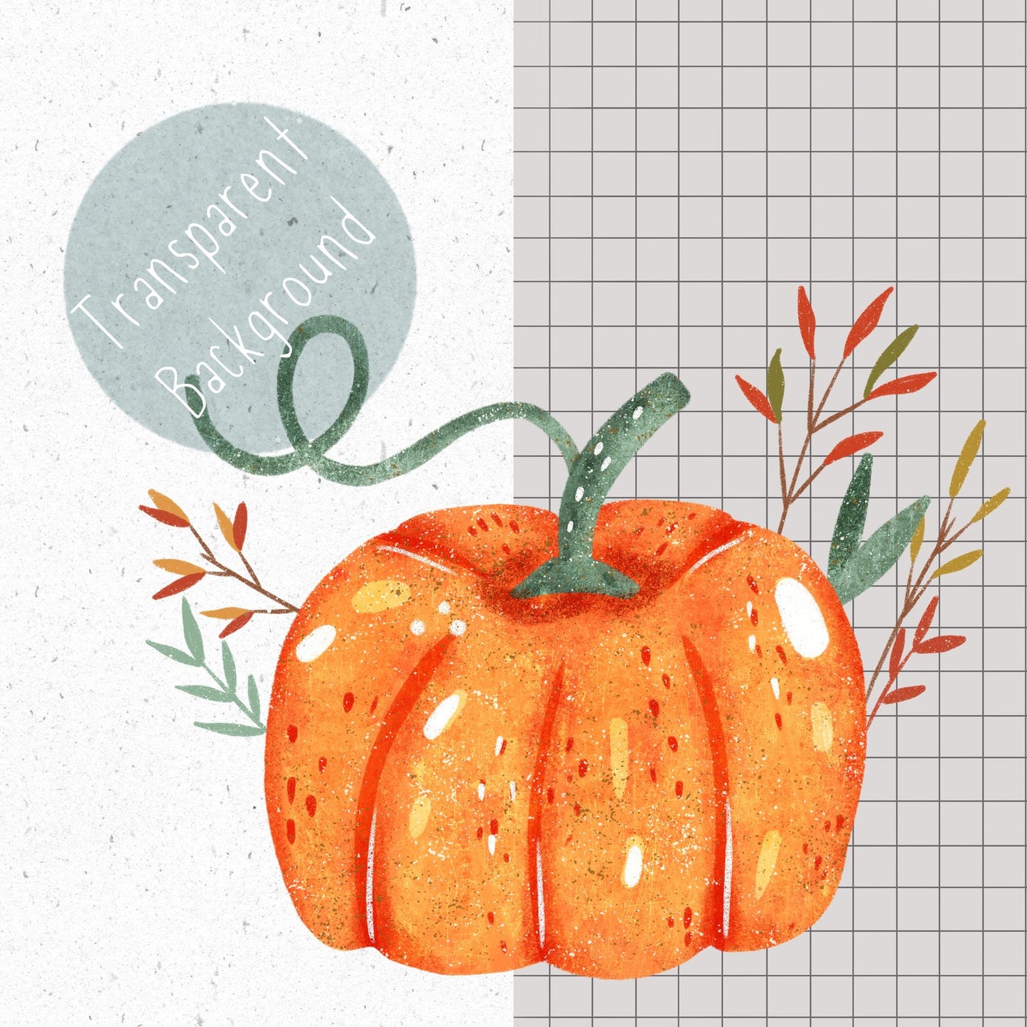 Pumpkin PNG Set