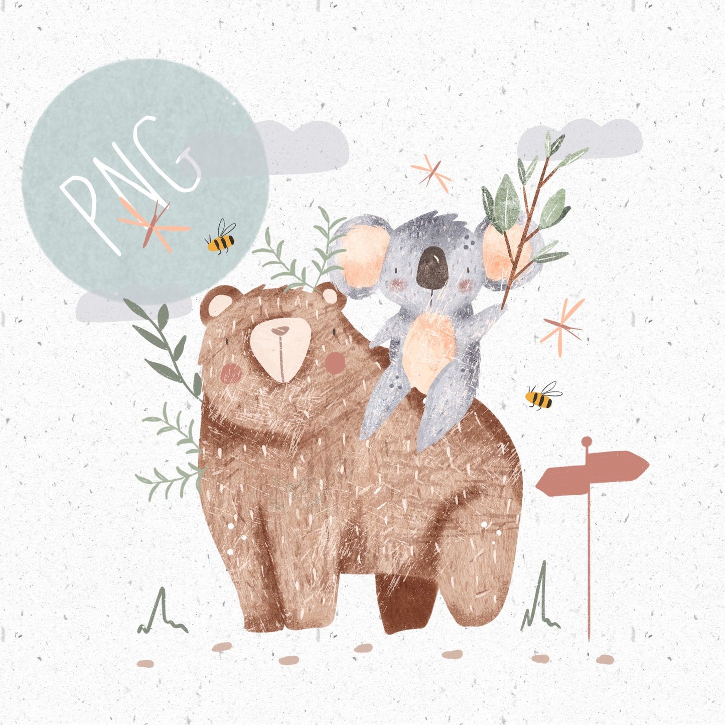 Bear and Koala PNG